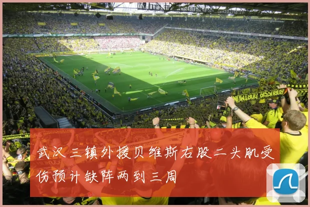 武汉三镇外援贝维斯右股二头肌受伤预计缺阵两到三周